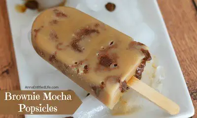 Brownie Mocha Popsicles Recipe + Photo by Ann's Entitled Life