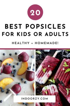 Easy Healthy Popsicle Recipes for Kids or Adults (Best Summer Treat!)