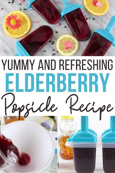Elderberry Popsicles - Mommyhood Life