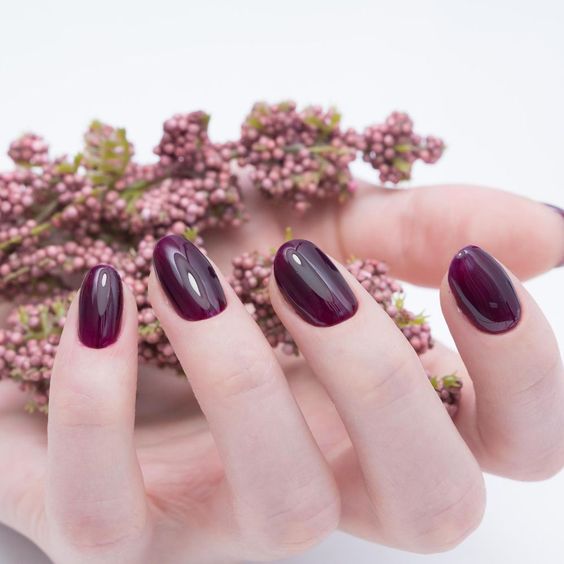 Fall Nails Ideas | Short Round Deep Purple Fall Nails