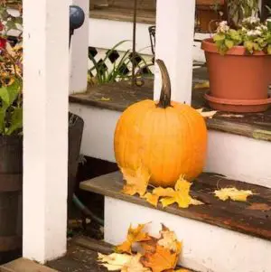 Best Fall Porch Decorations! Classy Fall Decor for the Porch