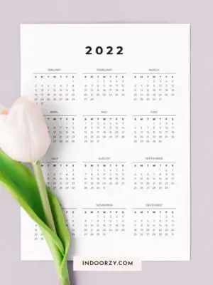 2022 Printable Calendar Year at a Glance (Sunday Start)