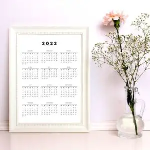 Minimal 2022 Calendar Printable FREE Yearly One Page PDF Download